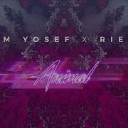 Jim Yosef X Riell Animal