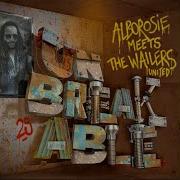 Mission Alborosie