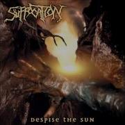 Suffocation Despise The Sun