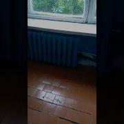 Перемещение В Прошлое Саб