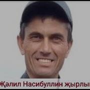 Жэлил Насибуллин Карлар