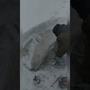 Гниют Розы На Снегу