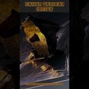 Как Далёкая Звезда