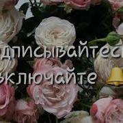 Элима Астамирова 2019