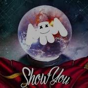 Marshmello Show You