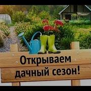 Юмор Про Дачников Подборка