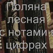 Поляна Лесная На Гармони