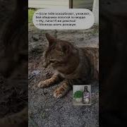 Если Тебя Оскорбляют Унижают Бей Обидчика Лопатой По Морде
