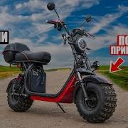 Белый Бля Белый