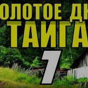Золотое Дно 20 Лет В Тайге