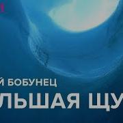 Сергей Бобунец Большая Щука