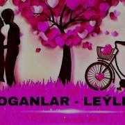 Doganlar