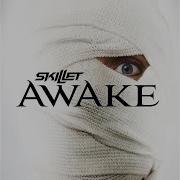 Skillet Monster Radio Edit