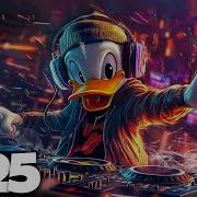 The Music Mix 2025 Best Remix Popular Songs Bass Boosted