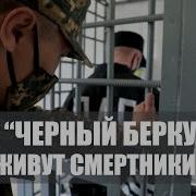 Черный Беркут