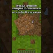 47 Хромосом Майнкрафт