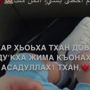 Асадуллах1 Дала Декъал Войла