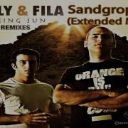 Sandgroper Aly Fila