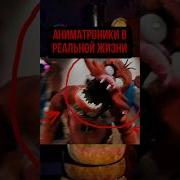 Фнаф В Реальности