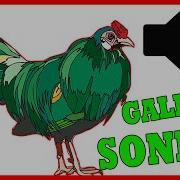 El Sonido De Las Gallinas