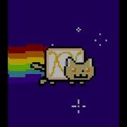 Kevin Tne Nyan Cat