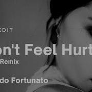 Nando Fortunato I Don T Feel Hurt Niccko Remix