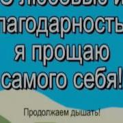 Свияш Эффективное Прощение Денег Мужской Вариант С Диктором Скачать