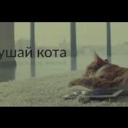 Котов Читает Стих