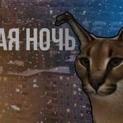 Белая Ночь Эдит