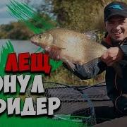 Лещ Осенью
