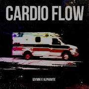 Шумм Cardio Flow