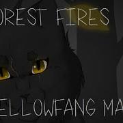 Forest Fires Warrior Cats