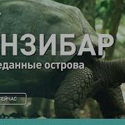 Bbc Живая Природа