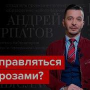 Андрей Курпатов Средство От Депрессии Тревоги И Раздражения