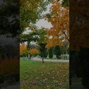 Осень В Мир Пришла