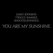 Jamey Johnson You Are My Sunshine