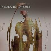Kole Audro T A S H A Bigfattomas Language