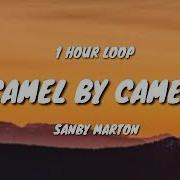 Camel By Camel 1 Hour