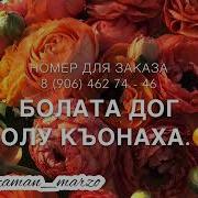 Тамара Адамова Дал Декъал Войл Хьо