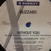 Blizzard Without You