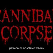 Cannibal Corpse Hammer Smashed Face Drums Only