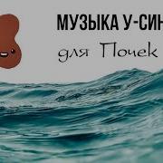 Музыка Для Лечения Органов По У Син