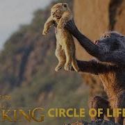 The Lion King And The Circle Of Life 2019