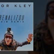 Adrenalizou Le Dib Remix Vitor Kley Le Dib