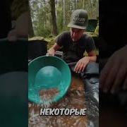 Золотоискатель
