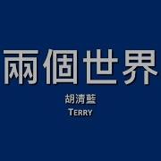 胡清蓝 Terry 两个世界