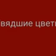 Увядшие Цветы Дмитрий Прянов Минус