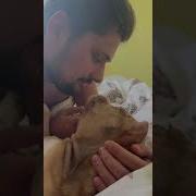 У Нас Есть Собака Мы Завели Собаку