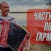 Плясовые Песни Под Гармонь