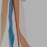 Arve Henriksen Day One Feat Arve Henriksen